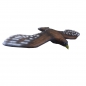Preview: 3D-Ziel Steinadler fliegend 22,0 kg