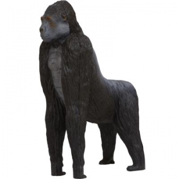 3D-0077 Gorilla 44 kg
